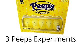 Peeps Experiments (Microwave, Sink or Float &  Colors)