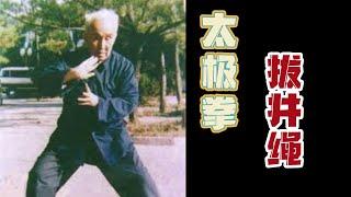 洪均生太极拳内动秘诀：拔井绳原理解析！（洪均生 secret of internal movement of Tai chi, 拔井绳 principle analysis.）