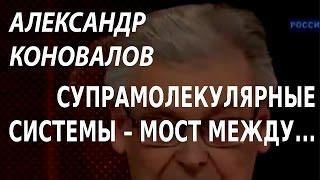 ACADEMIA. Александр Коновалов. Супрамолекулярные системы – мост между неживой и живой материей