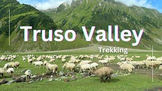 เที่ยวจอเจียร์ด้วยตัวเอง ep.2 : Truso Valley (Kazbegi)