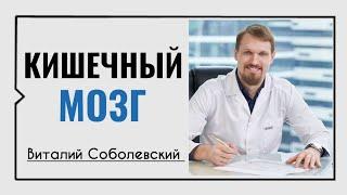 Кишечный мозг️Виталий Соболевский