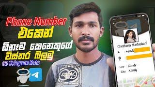 Telegram Bot | 3 Telegram Bots You Should Try Right Now | Sinhala Diyunuwa Lk