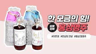 [2019우리술대축제] 한 모금의 힘! "홍삼명주" 리뷰