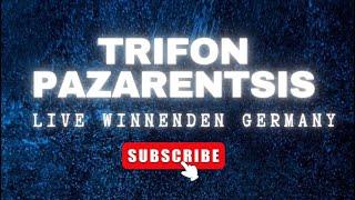 Trifon Pazarentsis Live in Germany Winnenden Dream City || Live HD Video