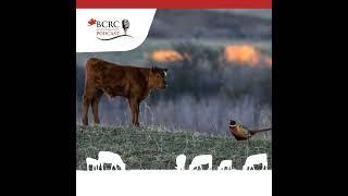 Episode 1: Science confirms the beef industry's environmental benefits