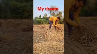 kisan ka dard kaun samajhata hain #shorts #youtubeshort #youtubechannel @Sandeep Kumar official 33