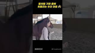 말처럼 가짜 줄에 휘둘리는 우리 마음 #명품마인드 #automobile #동기