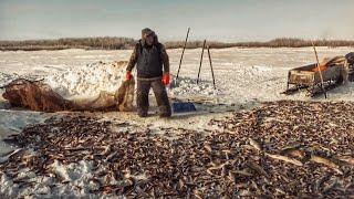 Рыбалка на окуня с хантами. Огромные щуки! 2 тонны рыбы! Крайний Север | C полем! Лучшие выпуски