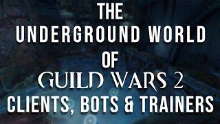 The Underground World of Guild Wars 2 Clients, Bots & Trainers (Cheats & Hacks)