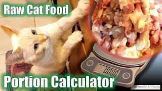 How much Raw Cat Food do I feed my cat? (Portion Calculator tutorial) - Cat Lady Fitness