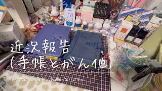 【手帳・がん】近況報告【先がんの事話してます】