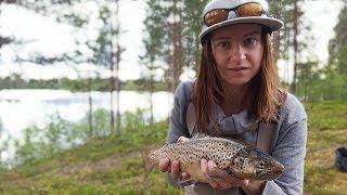 Flugfiske kiruna