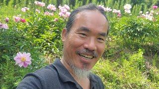 비트코인 쌍봉예측, 리플, 에이다, 샌드박스, 플로우, 비체인.