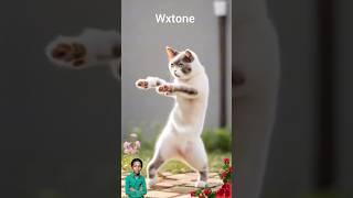 Cat comedian#cute Cat Dance #shorts #cat #pet #dance #funny