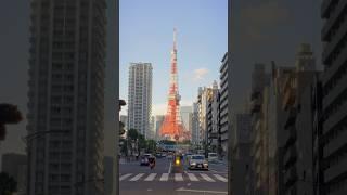 [Umum in Tokyo] Promotional Video. Every Monday 19:30! #tokyo