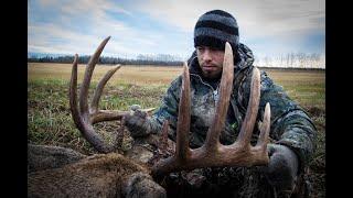 Giant Old Alberta Whitetail - 3 Years of History - 6X5