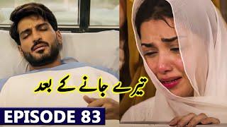 Teray Janay Kay Baad Episode 83 Full Promo | Drama Teray Janay Kay Baad Episode 83 Mega Teaser