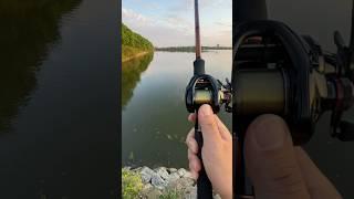 shimano scorpion dc long casting