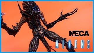 NECA Toys Aliens Kenner Tribute SCORPION ALIEN Action Figure Toy Review