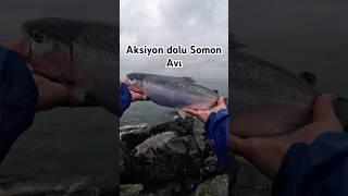 Aksiyon dolu somon avı   #balıkavı #fishing #fish #balık #somon  #somonavı  #rainbowtrout