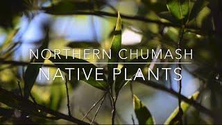 Episode 7: Chumash Native Plants