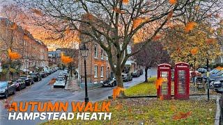 Autumn walk in Hampstead Heath, a relaxing walking route 