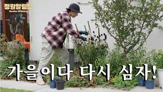 여름 갔다. 가을 되서 심은 8가지 식물!