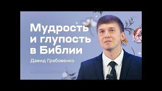 Мудрость и глупость в Библии  Давид Грабовенко