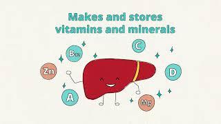 Hepatitis and Liver Health | The Hero Inside You