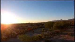 Borrego Palms in the early morning light