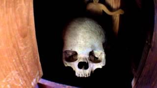 aarons vlog Tor house skull