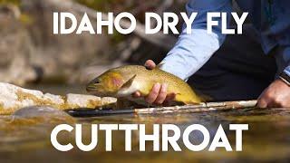 Idaho Dry Fly Cutthroat