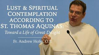 Lust and Spiritual Contemplation According to St. Thomas Aquinas - Fr. Andrew Hofer, O.P.