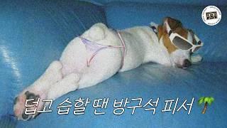 playlist. 여름 휴가는 시원한 집에서