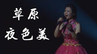 陈敏中音 《草原夜色美》 演唱版