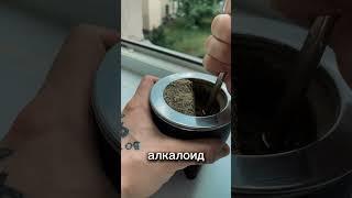А за что вы любите мате ? #yerbamate #йербамате