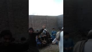 Syed tauseef shah 28739