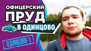 "Офицерский пруд" в Одинцово-1. Что не так и что с этим делать?