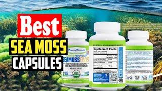 Top 10 Best Sea Moss Capsules of 2024