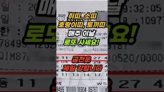 쥐띠, 소띠, 호랑이띠, 토끼띠는 재물운이 가장 강한  매주 이날 로또 사세요! #로또 #로또1등 #띠별운세 #띠운세 #재물운상승 #금전운상승 #돈복