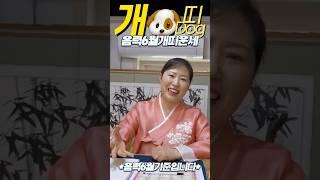 개띠 운세가 궁금하다면? 2025년 음력6월 #경주 #경주용한점집