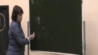 Лекция: Синдром выгорания  у врачей