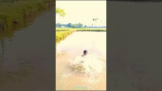 Back Flip Swimming Bahubali sung #backflip #shortvideo #shorts