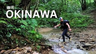 One Week in Okinawa | Not the Japan You Think You Know