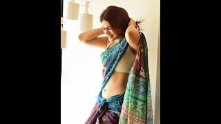 Shraddha Das Looking Hot in Sarees / Down With Your Getup - Mini Vandals (No Copyright Music)