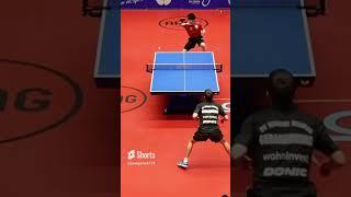 Amazing point.#tabletennis #tenisdemesa #pingpong