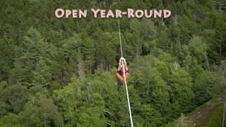 Year-round Canopy Tour - Flights Departing Daily