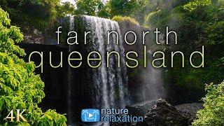 4K Far North Australia: Queensland Rainforests to Great Barrier Reef 1HR Nature Relaxation Film