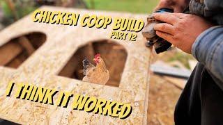 Building a chicken coop from scratch - part 12 - DOOR FINISHED