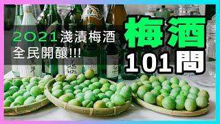 【梅酒101問】淺漬梅酒教學全解析，看完這集沒有失敗的理由，保證梅問題！廚房廢寶索艾克，威士忌梅酒、Gin梅酒、真露梅酒！